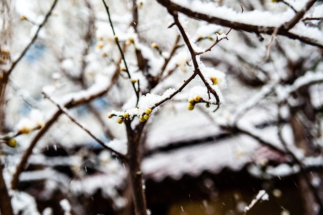 面对对方严