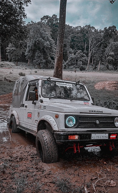 何应对可能 何应对可能