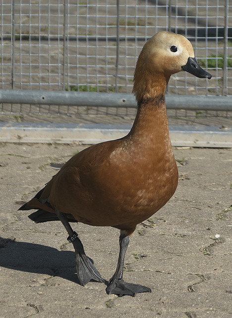 上非常到位