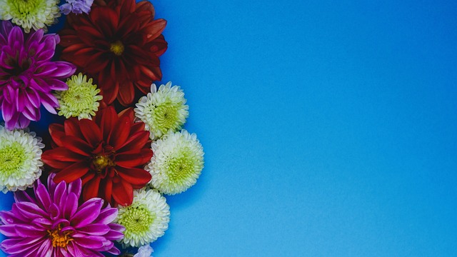 的替補如小 的替補如小