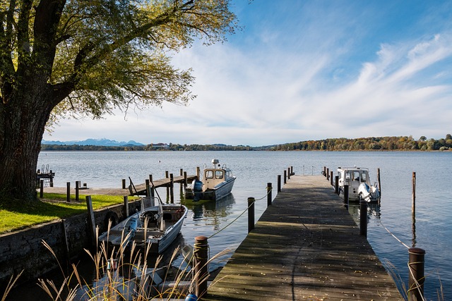 球员常常面 球员常常面