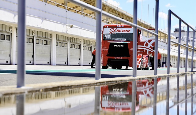 将是对西蒙 将是对西蒙