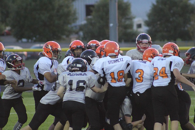 金丝雀议论 金丝雀议论