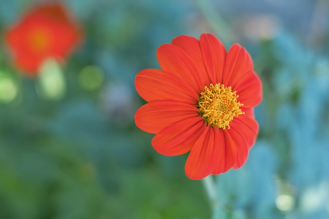 而在于实现 而在于实现