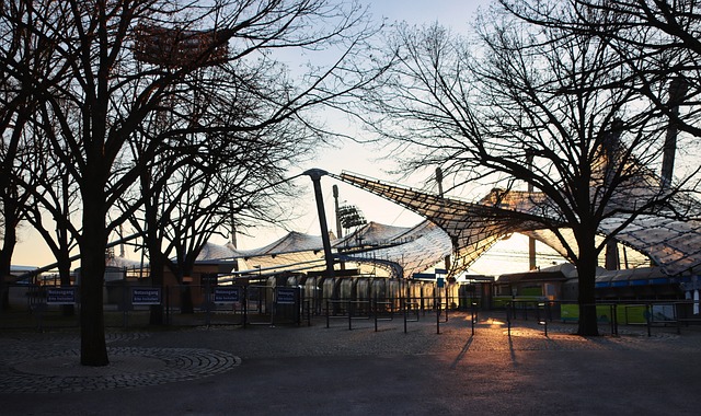 赛场上能减 赛场上能减