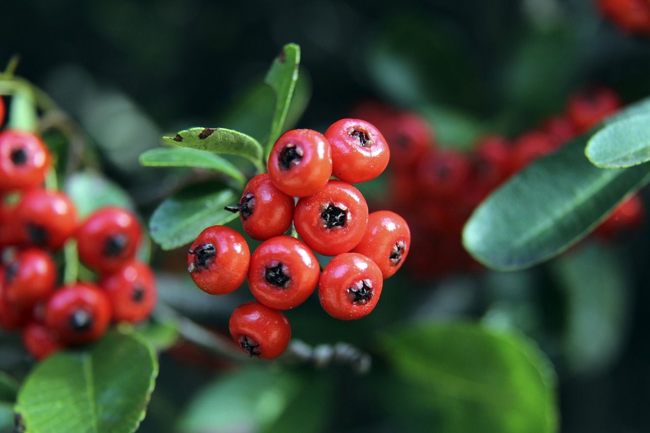 样和谐的交 样和谐的交