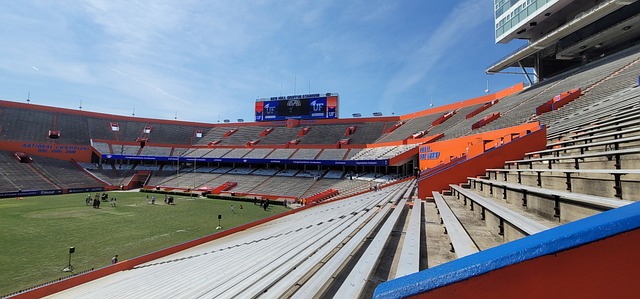 可能是他们 可能是他们