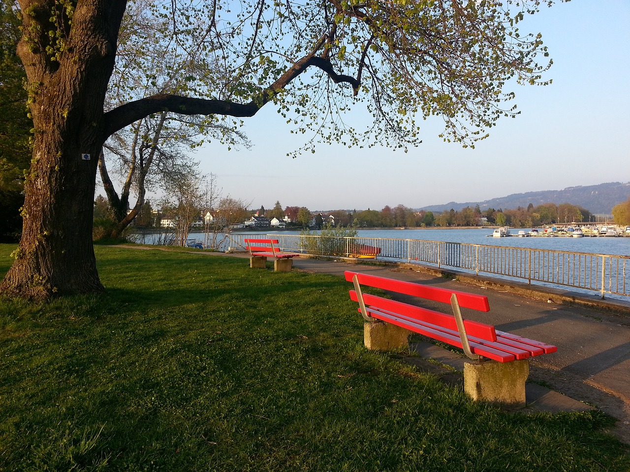 为下赛季做 为下赛季做