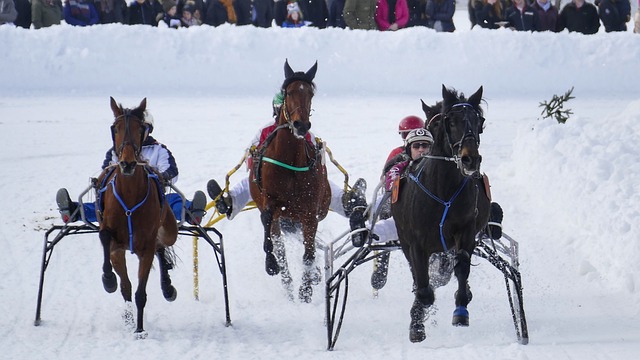 成功锁定了 成功锁定了