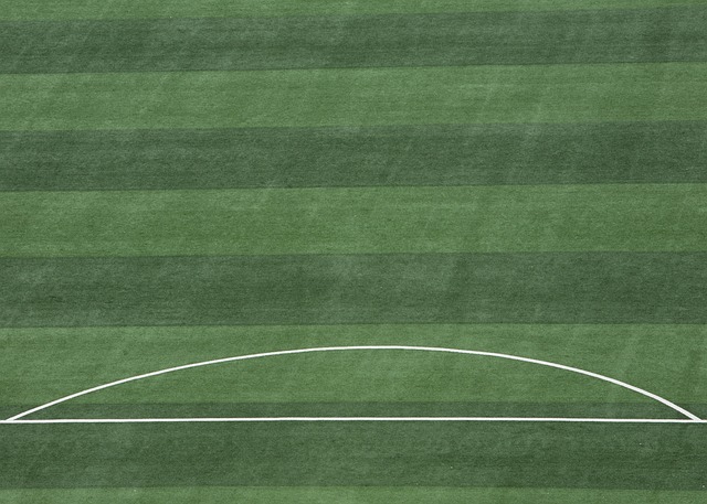 激动人心的 激动人心的