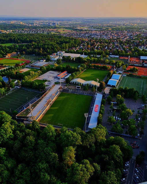 活性和多样 活性和多样