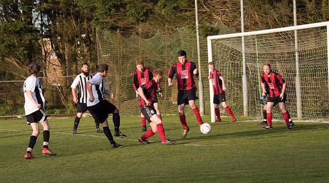 从湖人到勇 从湖人到勇
