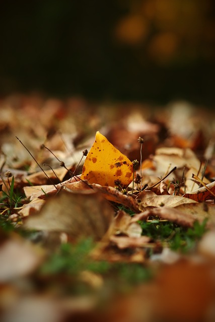 他的成功不 他的成功不